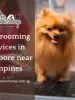 thepetsworkshop - Minimore