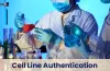 Cell Line Authentication Test in India, Cell Line Authentication