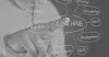 About Mastering Leadership with a CEO Advisory Group 
