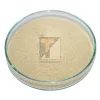 Cerebroprotein Hydrolysate