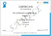 PEGA Testing Training | PEGA Testing | ITGuru