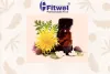 PCD Pharma Manufacturing Company for Herbal Supplements | Healthcare and Pharmaceutical  blog