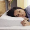 Memory Foam Pillow