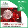 Choose The Right Cancer Treatment For Faster Recovery