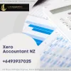 Xero Accountant NZ – Telegraph