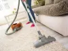 South Sound Carpet Cleaning, Pet Odor, Stain Removal Federal Way WA
