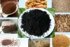 Biomass Carbonization Plant - Biomass Charcoal Making Machine