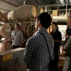 Yarra Valley Private Tours: Wine and Cheese Tasting Melbourne