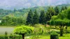 Cheapest Tour Packages For Kashmir | Top 10 Kashmir Budget Tour Packages
