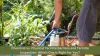 Chemical vs. Physical Termite Barriers: Choosing the Right Protection for You - The Guest Blogs