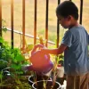 6 Interesting Activities Child Can Do with Flowers during Vacation Time