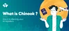 What is Chinook and How is it Affecting your Canada Immigration Process