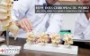 How Does Chiropractic Work? All You Need to About Chiropractic Care