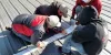 Guide to Choose Flat Roof Repair Services near You