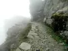 Chopta and Auli trip