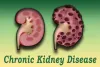 Chronic Kidney Disease Treatment In Ayurveda