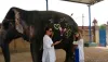 Viaje a la India desde México,Chile,España:que ver en la Jaipur India