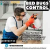 Bed Bugs Control