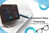 Data Cleansing Techniques