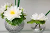 Online Photo/Image Clipping Path Retouching Services Company | Global Photo Edit