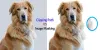 Clipping Path vs Image Masking: What’s the Difference?