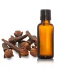  Clove Oil IP/BP/USP Manufacturer Supplier Exporter in India