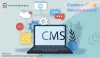 Custom CMS Development Company in USA 