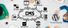 CMS Web Design,CMS Website Development Services in Noida,India