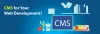 How to Choose The Best Fit CMS for Your Web Development - Vasp Technologies Pvt. Ltd.