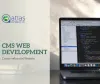 CMS Development