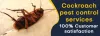 Pest Control Brisbane | 1800 122 695 | Pest Control Services | 7 Days