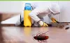 Best Cockroach Pest Control Services