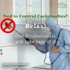 Common diseases due to cockroach and its treatment by professionals ~ Reliable Home Service Provider in India