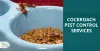 How does Cockroaches activate Allergies for Humans?