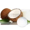 coconut milk powder, coconut powder, organic coconut milk powder, organic coconut milk powder, bulk coconut milk powder, coconut milk powder supplier