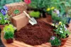 Coco soil
