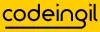 Codeingil - Web Design and Development Company in Thiruvallur