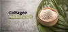Plant-Based Collagen Vs Animal-Based Collagen