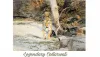Best Season to Visit Pench National Park | Pench Safari Booking