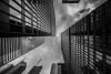 Synergy in Motion: A Holistic Model for Unmatched Progress