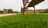 Create Your Dream Lawn with Synthetic Grass in Sydney
