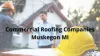 Commercial Roofing Companies - Muskegon, MI