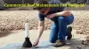 Why is Commercial Roof Maintenance Important? Roofers in Fort Dodge, IA