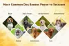 Most Common Dog Breeds Prone to Seizures - CanadaPetCare