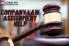 5 Must Follow Tips to Score Well In Your Company Law Essay -