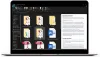 Access Scanning Document Services, LLC