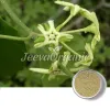 condurango fluid extract powder, bulk condurango fluid extract, best condurango fluid extract, condurango fluid extract uses, condurango fluid extract benefits