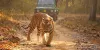 Trip to India Tour By TIT – Travel fashion