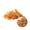 cordyceps mushroom powder, cordycep mushroom powder, cordyceps mushroom powder benefits, Organic Cordyceps Mushroom, bulkCordyceps Mushroom Powder, Cordyceps Mushroom Powder supplier