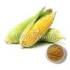 corn silk powder, use of corn silk powder, corn silk powder benifits, top corn silk powder, bulk corn silk powder